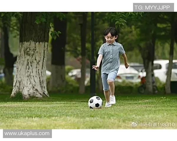 足球小将中国队新星崛起 热血少年带领球队冲刺世界之巅 足球小将中国队新星崛起 热血少年带领球队冲刺世界之巅