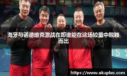海牙与诺德维克激战在即谁能在这场较量中脱颖而出